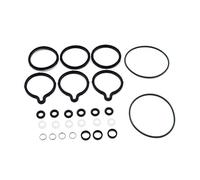 ERYUE Reemplazo para l Diesel Bosch CP1 Kit de reparación de Juntas tóricas de Sello de Bomba de Combustible de Alta presión,Diesel CP1 High Pressure Fuel Pump Seal Orings Repair Kit For