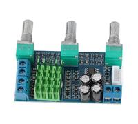 ERYUE Tablero Amplificador Digital de Doble Canal TPA3116D2 Tablero Amplificador de Doble Canal Superficie Lisa con Protección contra Sobretensión para Amantes la Música DC 12-24V para Proyectos