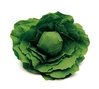 Erzi - Lechuga individual , juego de madera de alimentación (12 x 4.2 cm)