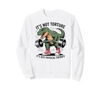 Es Divertido, Solo Fisioterapia, no tortura, PT PTA Dino Recovery Sudadera