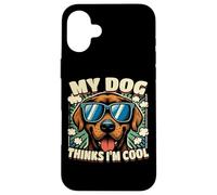 Es gracioso que mi perro piense que soy genial, un perro divertido Carcasa para iPhone 16 Plus