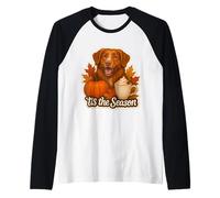 Es la Temporada Nova Scotia Duck Tolling Retriever Dog Fall Camiseta Manga Raglan