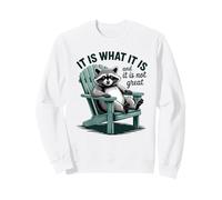 Es lo Que es Relajante estética Mapache Sudadera