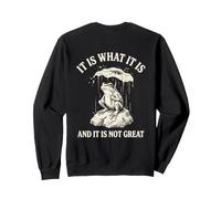 Es lo Que es y no es una Gran Rana (en la Parte Trasera) Sudadera