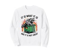 Es lo Que no es un Gran Incendio de contenedor de mapaches Sudadera