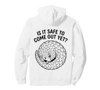 ¿Es Seguro Salir del Armario Pero tímido Pangolin Ansiedad Humor Sudadera con Capucha