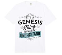 Es una Cosa de Génesis Que no entenderías Funny Genesis Comfort Colors Adult Heavyweight T-Shirt