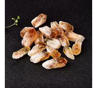 ESBANT Mineral de Punto de Citrino en Bruto brasileño Natural, Piedras de Cristales de Cuarzo Crudo, joyería, colección de espécimen Mineral, decoración del hogar, 50g Estatua (Size : 50g)