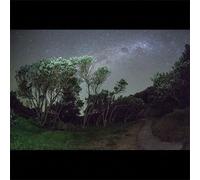 Esben and the Witch Older Terrors (Vinyl) 12" Album (Importación USA)