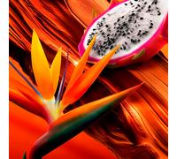 ESCADA Bali Paradise - 100 ML Eau de toilette Perfumes Mujer