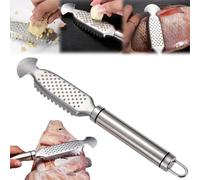 Escalador de pescado de acero inoxidable 2 en 1 + rallador de jengibre, escalador de pescado de acero inoxidable con mango para colgar, para una fácil descalcificación (A, 1 unidad)