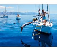 Escalera de Cuerda Marina para Barco a Motor catamarán 4 peldaños 2m | Escalera de Cuerda Reflectante de poliéster | Escaleras de Cuerda polivalentes con mosquetones