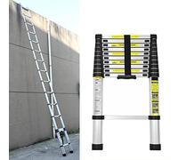Escalera telescópica de aluminio de 2,6 m, escalera extensible con 9 peldaños (150 kg)