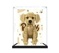Escaparate de acrílico para modelo 11384 Golden Retriever Puppy, compatible con Lego, caja de almacenamiento transparente a prueba de polvo (modelo no incluido) (Background Build + espejo)