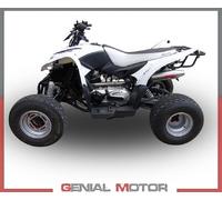 Escape Completo GPR DEEPTONE ATV Aprobado AEON COBRA 300 2007 > 2021
