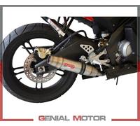 Escape Completo GPR DEEPTONE INOX Aprobado YAMAHA YZF-R 125 i.e. 2008 > 2013