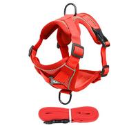 Escape-Proof Cat Harness, Reflective Kitten Lead Set, Comfortable Walking Harness for Kittens and Puppies, Safe Outdoor Adventures, 9.06x7.48x0.79 Inches, 11.42x8.66x0.79 Inches