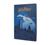 Escape to Hogwarts (Harry Potter Collection) A5 Grid Cahier