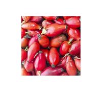 ESCARAMUJO FRUTO - bolsa 250 gr