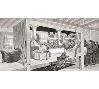 Escena de un matadero en Chicago, Estados Unidos de América en 1892. Rascando las cerdas de los animales. De La Ilustración Española y Americana publicado en 1892. Póster impreso por Ken Welsh (19 x
