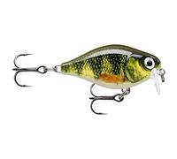 - Esche esca di Pesca essenziali, 1, 146495