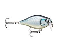 - Esche esca di Pesca essenziali, 1, 146499