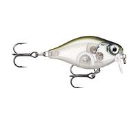 - Esche esca di Pesca essenziali, 1, 146500