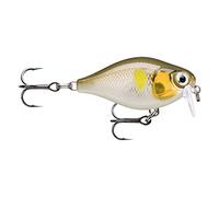 - Esche esca di Pesca essenziali, 1, 146501