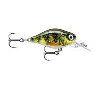 - Esche esca di Pesca essenziali, 1, 146507