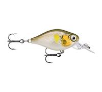 - Esche esca di Pesca essenziali, 1, 146513