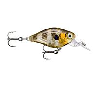 - Esche esca di Pesca essenziali, 1, 146516