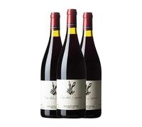 Escoda Sanahuja Nas del Gegant Conca de Barberà 75 cl Vino tinto (Caja de 3 Botellas de 75 cl)