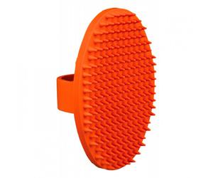 Escova de Massagem Oval Multicolorido ⵘ