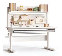 Escritorio para Niños Adulto 5~25 Años Mesa de Estudio con Cajones Estantería Mesa Inclinable Madera Maciza Acero Carbono Pupitre Infantil para PC Ordenador Mostrador Escolar Escritorio A,120*60CM