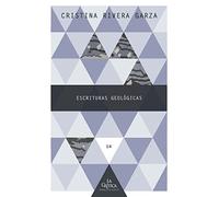 Escrituras geológicas: 14 (La Crítica Practicante. Ensayos latinoamericanos)