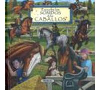 Escucha Los Sonidos De Los Caballos (los Sonidos De La Naturaleza )