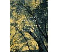 Escuchando A Los Árboles