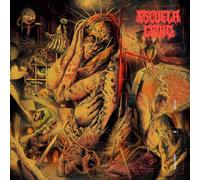 Escuela Grind – Dreams On Algorithms – Vinilo 12" coloreado