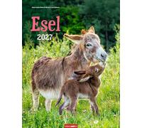 Esel Kalender 2027: Jahres-Wandkalender mit Fotos von Jean-Louis Klein und Marie-Luce Hubert. Tierkalender mit süßen Eselfotos. Planer mit Platz zum Eintragen. Hochformat 30x39 cm