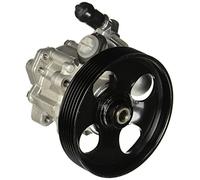 ESEN SKF 10skv009 Servo Bombas