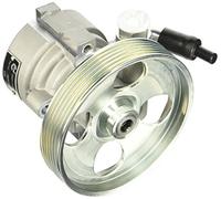 ESEN SKF 10skv163 Servo Bombas