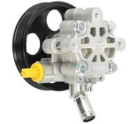 ESEN SKF 10skv195 Servo Bombas