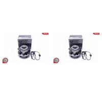 ESEN SKV 2x Cubo Juego Cojinete Delantero de Rueda para Land Rover Discovery II