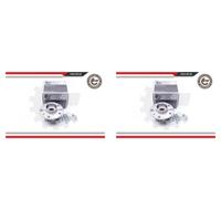 ESEN SKV 2x Cubo Juego Cojinete Delantero de Rueda para Renault Trafic III Caja