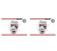 ESEN SKV 2x Cubo Kit Cojinete de Rueda Trasero para Chrysler Voyager Grand Dodge