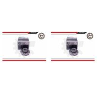 ESEN SKV 2x Cubo Kit Cojinete de Rueda Trasero para Peugeot 106 II Citroën Saxo
