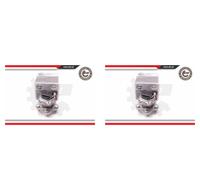 ESEN SKV 2x Eje de Rueda Juego Cojinetes Trasero para Nissan Qashqai + 2 I Note