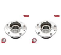 ESEN SKV 2x Eje de Rueda Juego Cojinetes Trasero para Peugeot RCZ 407 Coupé 6C