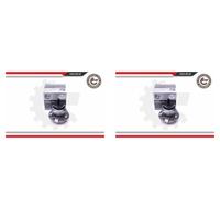 ESEN SKV 2x Eje de Rueda Juego de Cojinetes Trasero para Toyota Prius Liftback