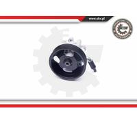 Esen Skv Bomba De Servodirección Compatible Para Nissan Murano II Z51 10Skv275
